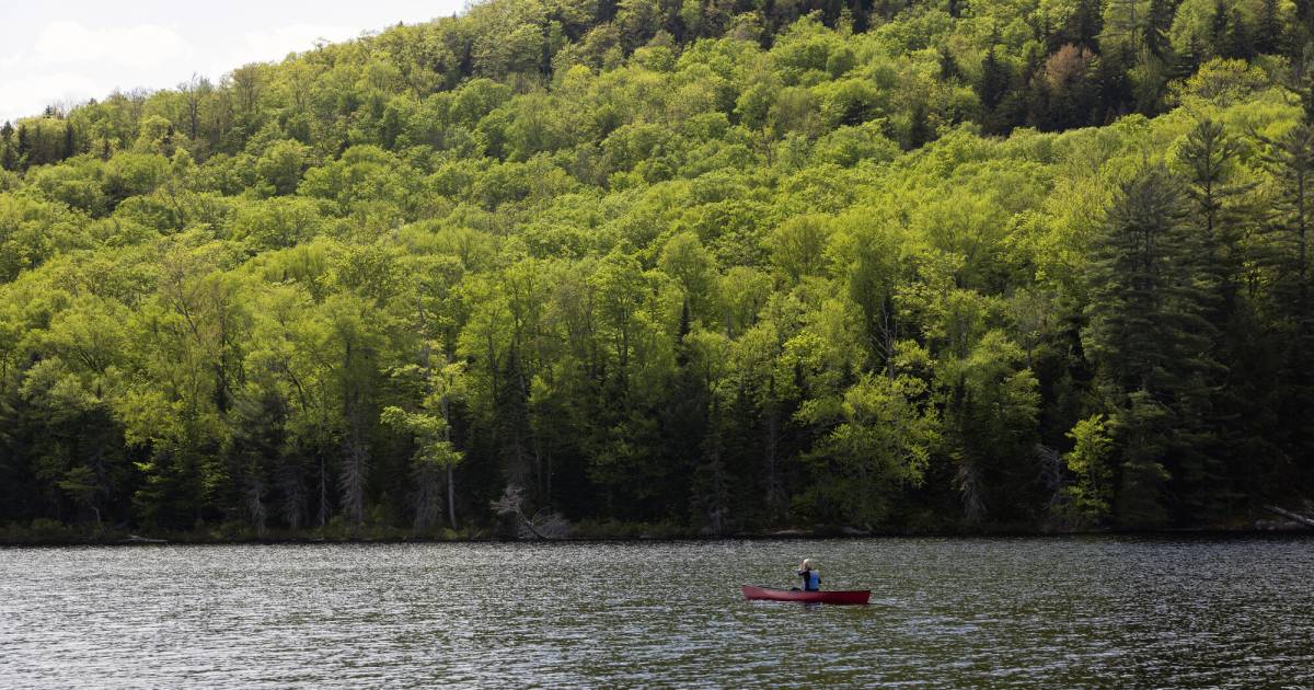 A Trip to Balfour Lake Adirondack Hub