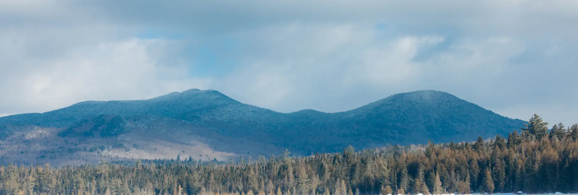 Winter on Wolf Pond.