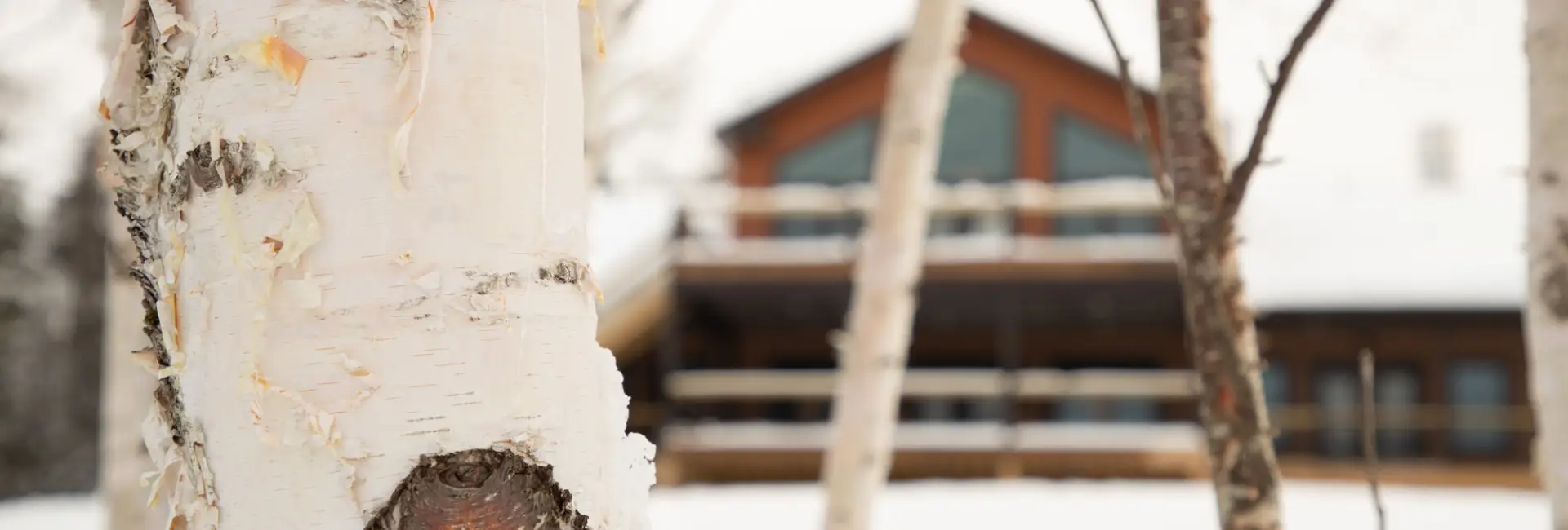 Lake Harris Lodge in the winter.