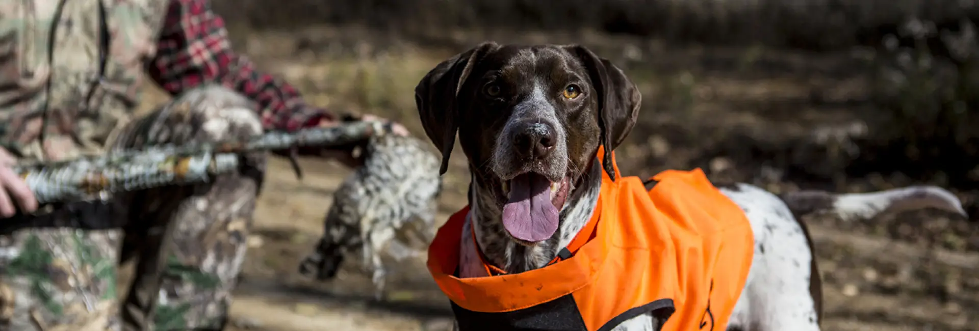 A hunting dog in an orange jacket stands with its owner in the background. 
