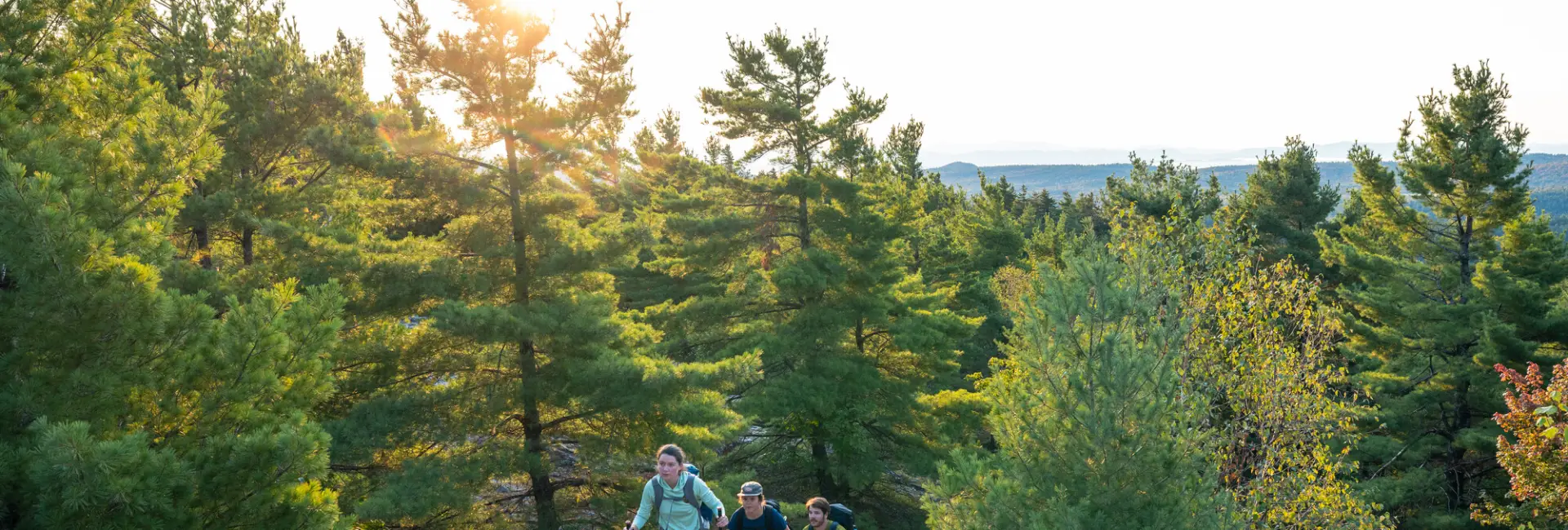 people hiking a mountain