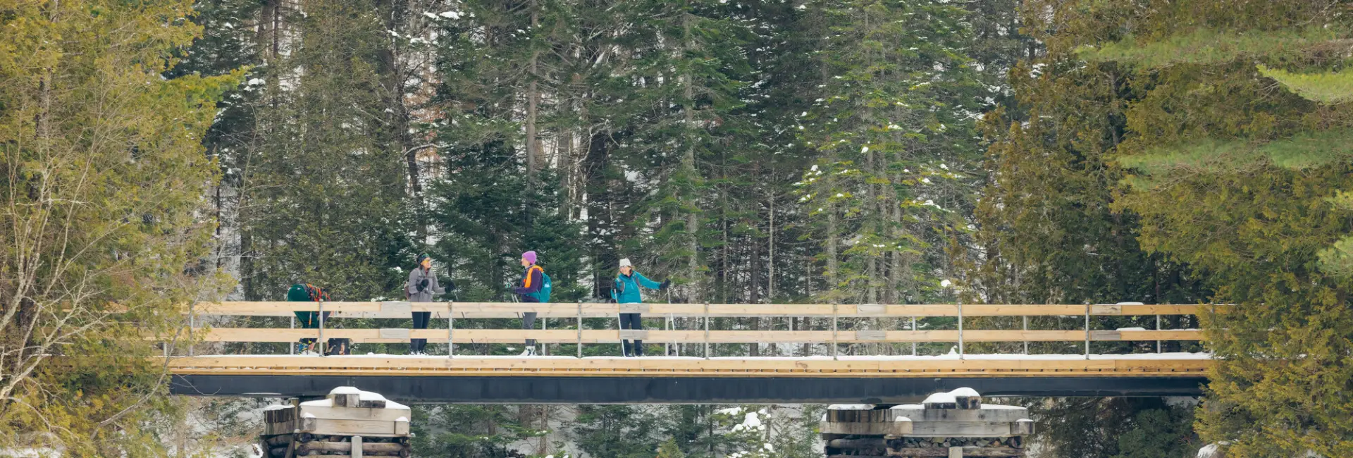 XC skiers on a wooden bridge
