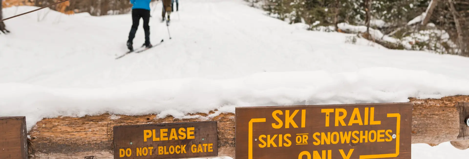 Cross-country skiing in the Hub.