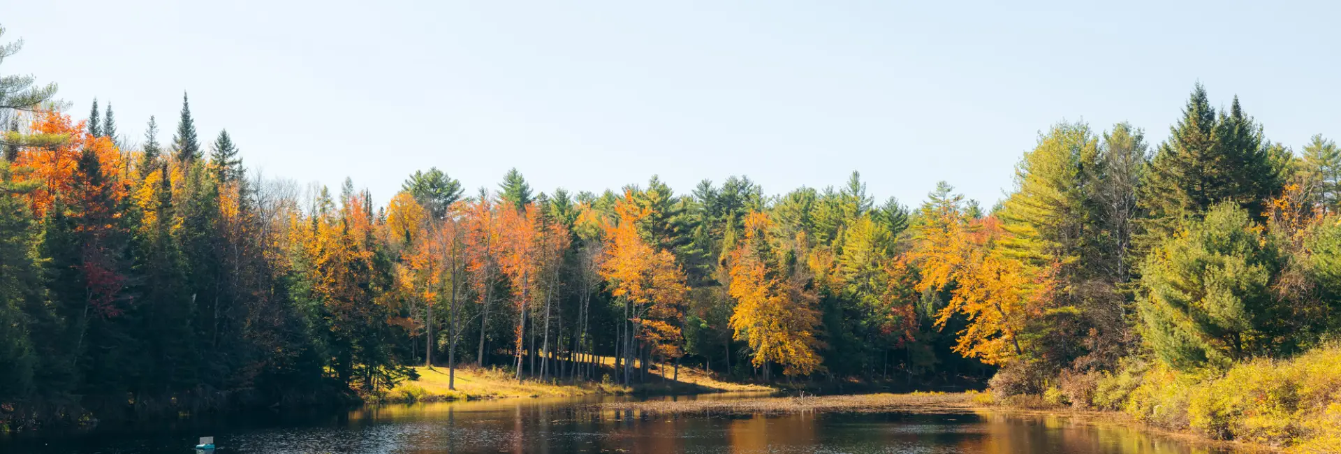 Donnelly Beach in Minerva during the fall.