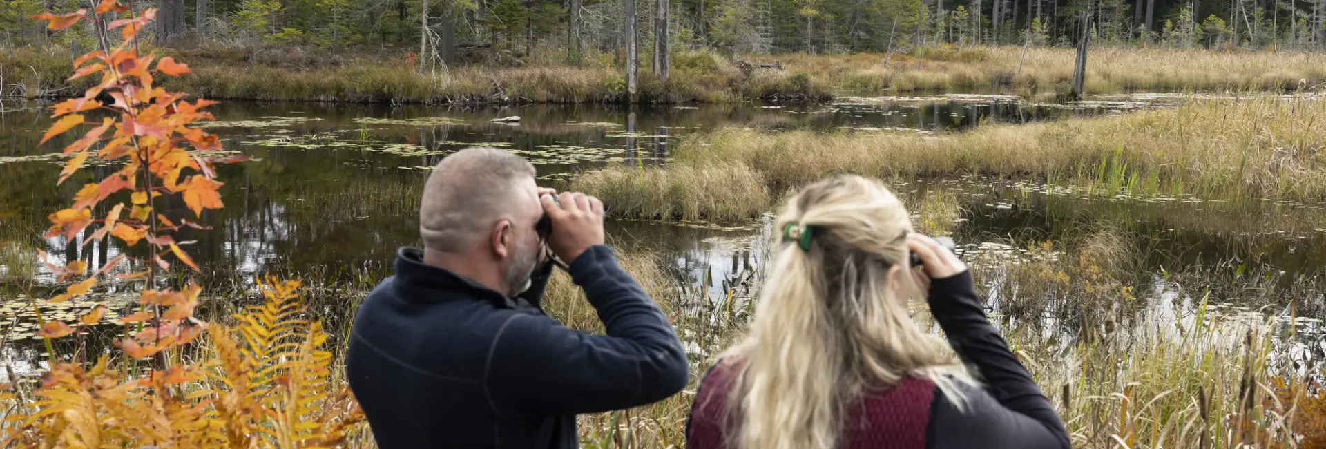 A man and woman bird watch on marshland in fall.