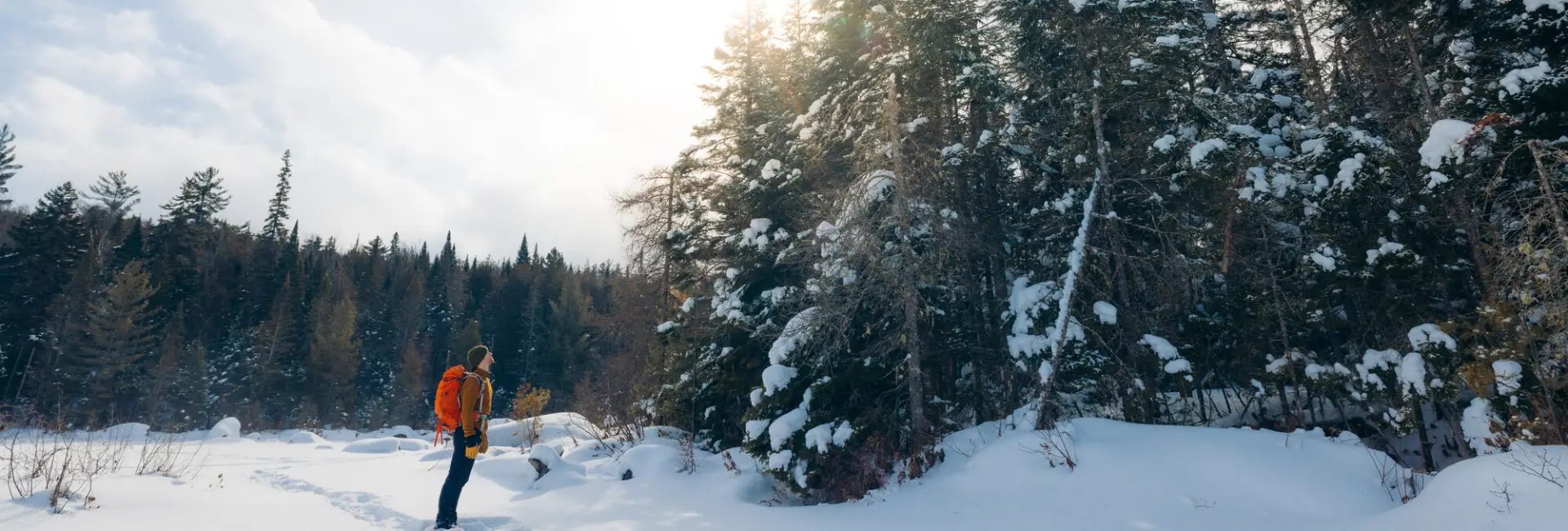 Snowshoeing in the Hub.