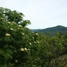 Pharaoh Mountain Wilderness - a serene seven-pack