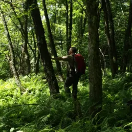 Gear for a day of summer hiking in the Adirondacks