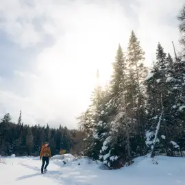 Snowy Solitude in the Southern Adirondacks