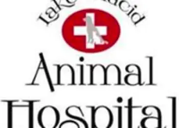 Lake Placid Animal Hospital logo of red circle with white cross and grey dog silhouette in center.