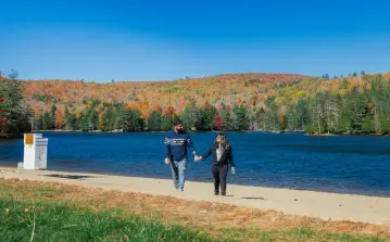 Fall
