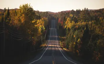 Travel Updates