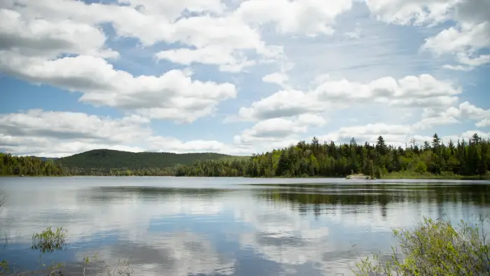 Cheney Pond is a scenic pond that feels remote&#44; but is an easy hike.