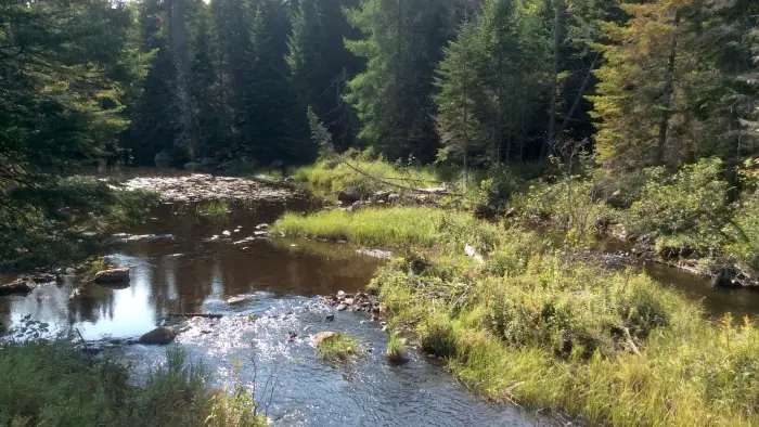 Fishing Brook is part of the County Line Flow fishing area.
