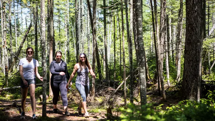 hikers on trail