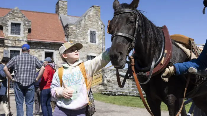 woman petting horse
