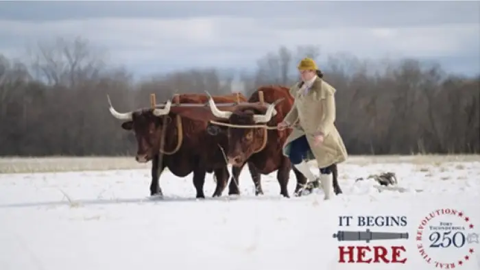 Henry Knox and team of oxen