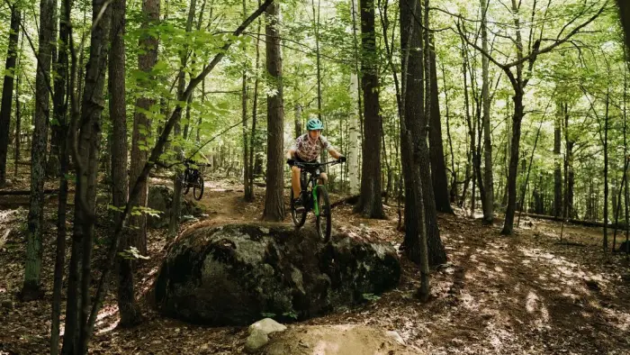 mountain biker on a wooded trail