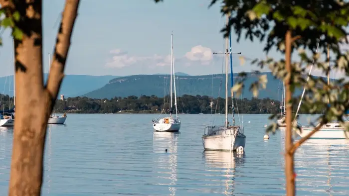 view from shore at the marina