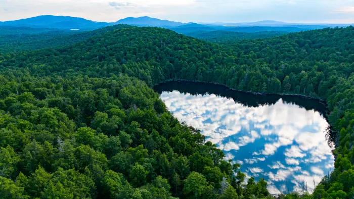 Clouds reflect in an Adirondack Pond