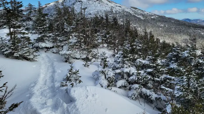 A snowshoe trail leads to a view of a tall mountain