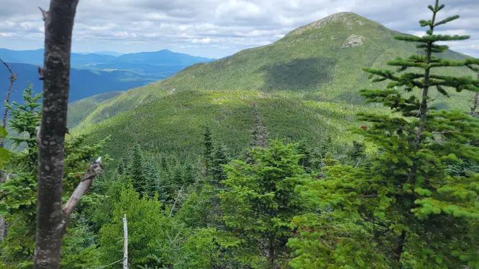 A tall summit seen through trees