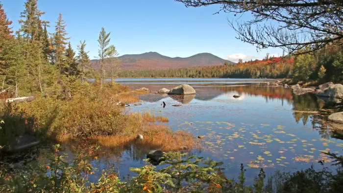 Wolf Pond is a gorgeous pond with views that include some of the High Peaks.