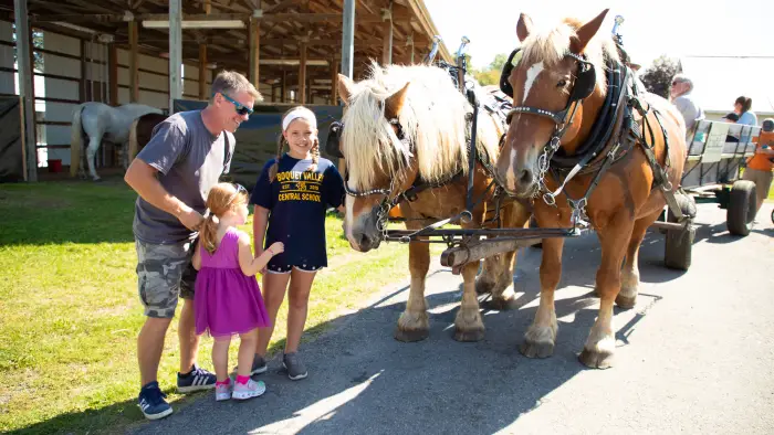 Kids petting large horses