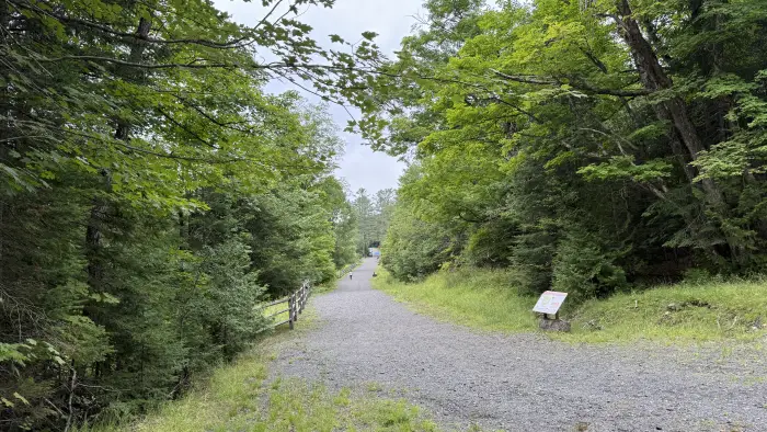 A group of adults gather on a wide gravel path for an interpretive walk.