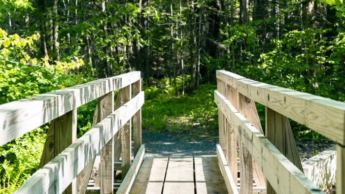 A new wooden bridge on a hiking trail