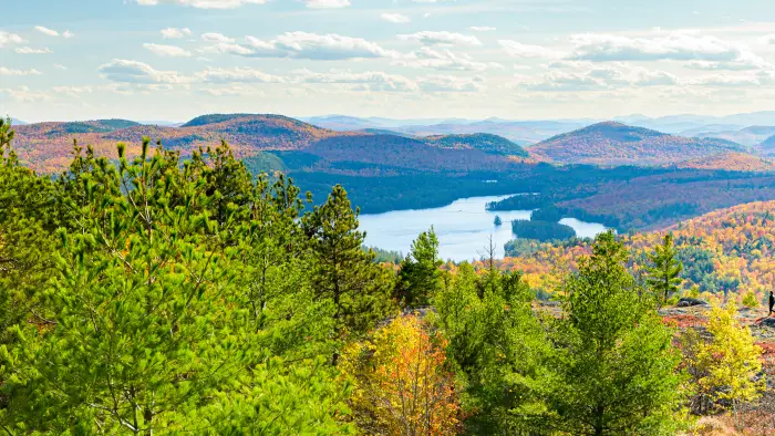 The view from Treadway Mountain in the Pharaoh Lake Wilderness Area