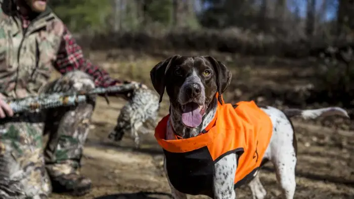 A hunting dog and its owner