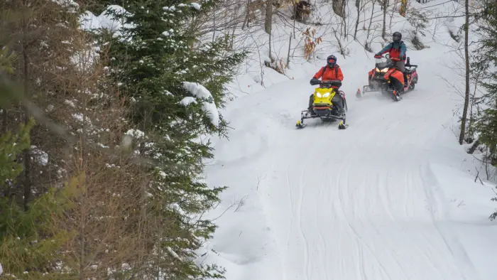 Two people ride snowmobiles on a snowy forest trail