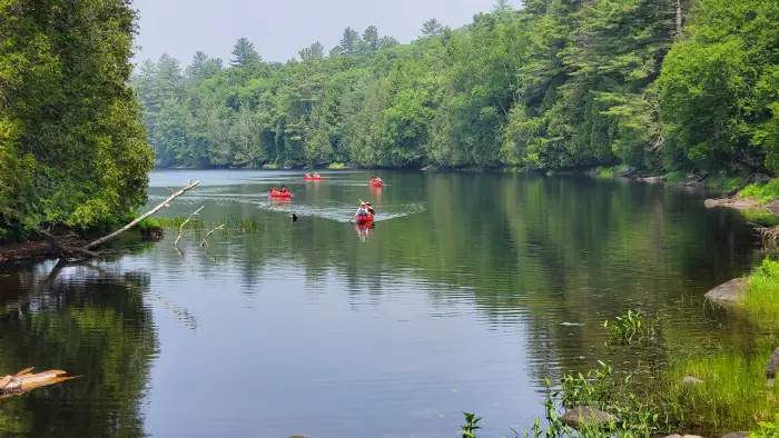 rich lake