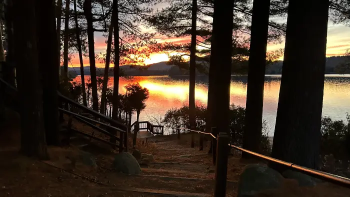 gorgeous warm sunset over the lake through the trees