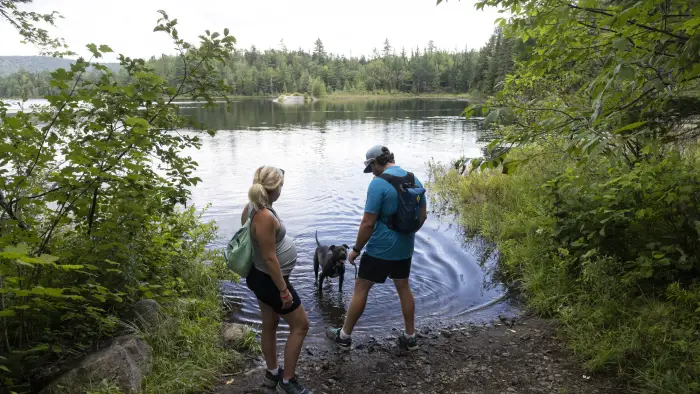 Hiker with their dog at Cheney Pond