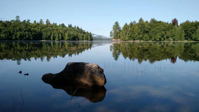 rich lake