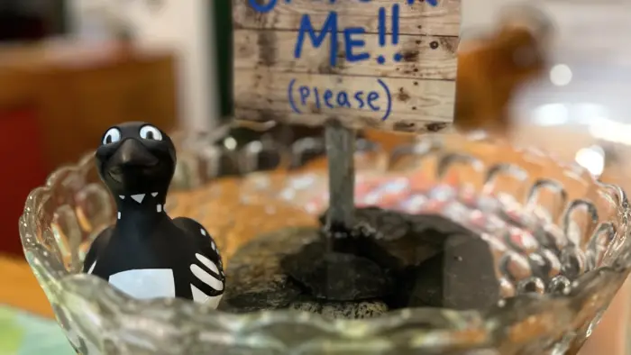 rubber loon in a dish