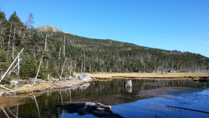 A high elevation pond with a mountain in the background.
