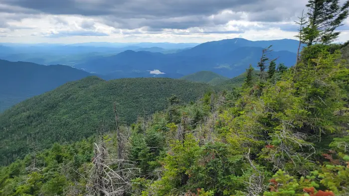 A very green mountain range