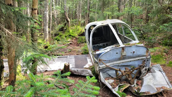 A wrecked small plane in the woods