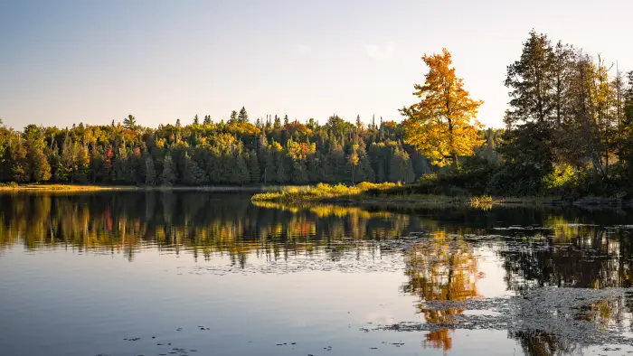 rich lake
