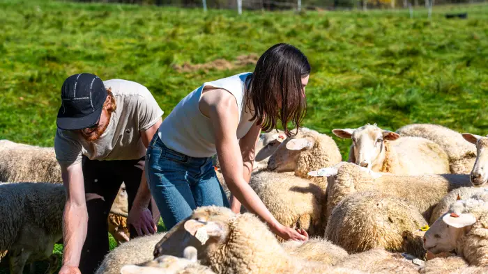farming