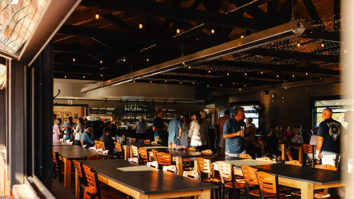 paradox brewery