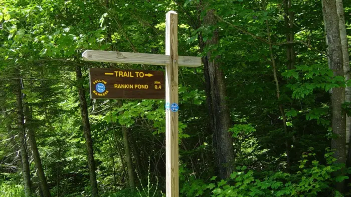 The trailhead on 28N with a parking area across the road.