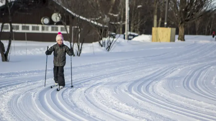  creating a serene winter scene.