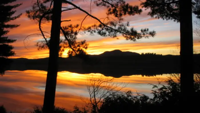 gorgeous warm sunset over the lake through the trees