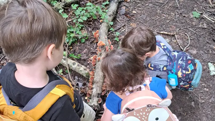 Three preschoolers looking at a log with mushrooms.