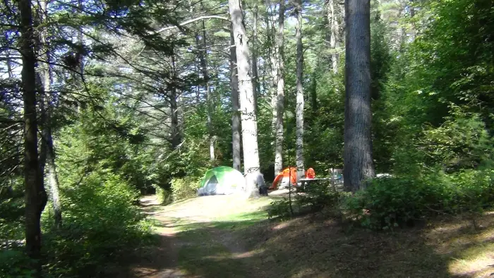 A wooded campground