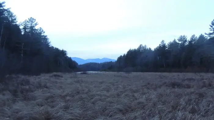 View of an open meadow and far away peaks